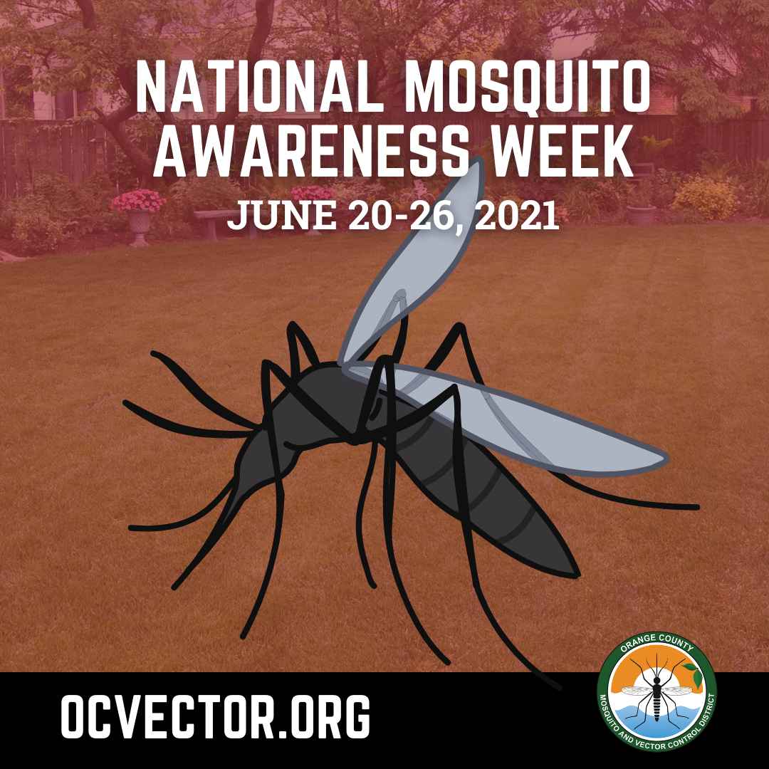 Press Release for National Mosquito Awareness Week June 2026 Orange