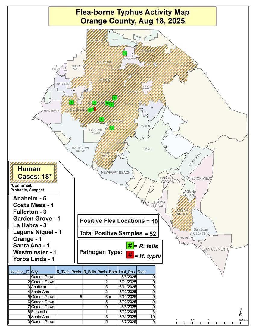 Map of flea-borne typhus in Orange County, Aug 18, 2025. Shows human cases, flea locations, and pathogen types (R. felis and R. typhi).