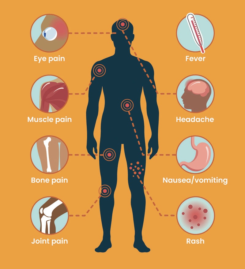 Silhouette with symptoms: eye pain, fever, muscle pain, headache, bone pain, nausea, joint pain, rash.