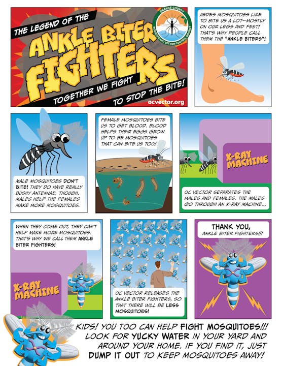 Comic about "Ankle Biter Fighters," explaining mosquito control and how kids can help prevent mosquitoes by removing standing water.
