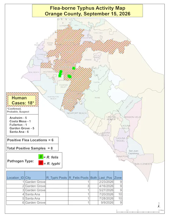 Map showing flea-borne typhus activity in Orange County, CA, on Sept 15, 2026, with noted human cases and positive flea locations.