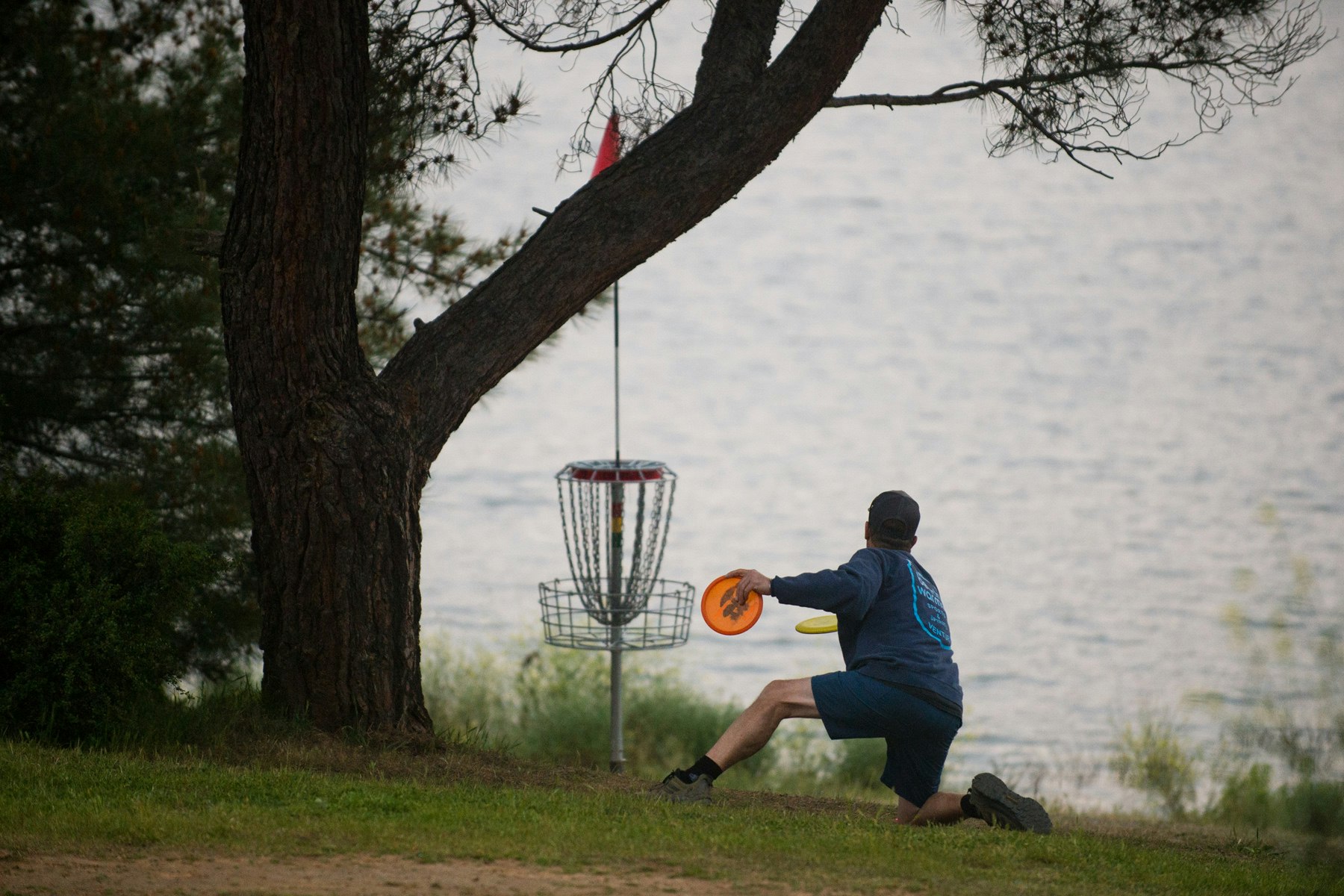 A person playing disc golf, preparing to throw a disc towards a basket near a large tree by the water.