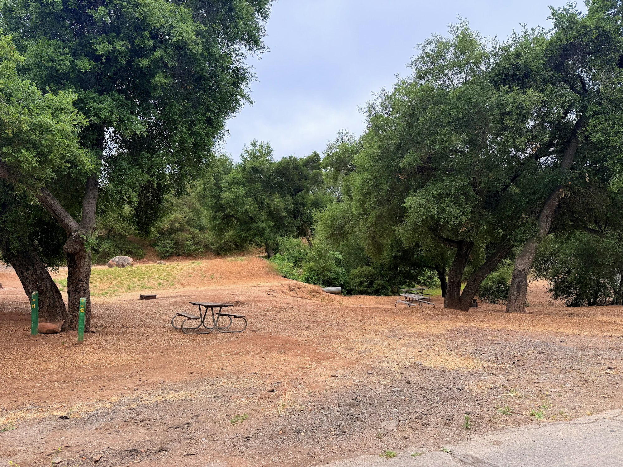 Picnic area with tables and trees, on a dirt path surrounded by greenery.