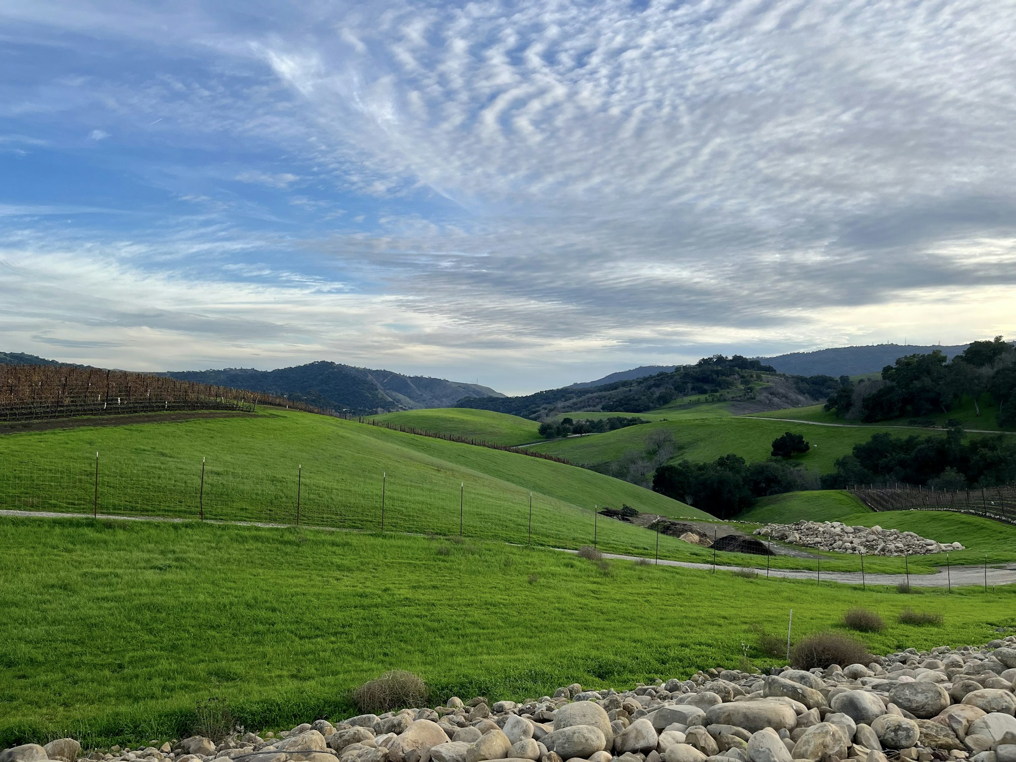 Lush green hills under a cloudy sky, with fences and rocks scattered across the landscape.