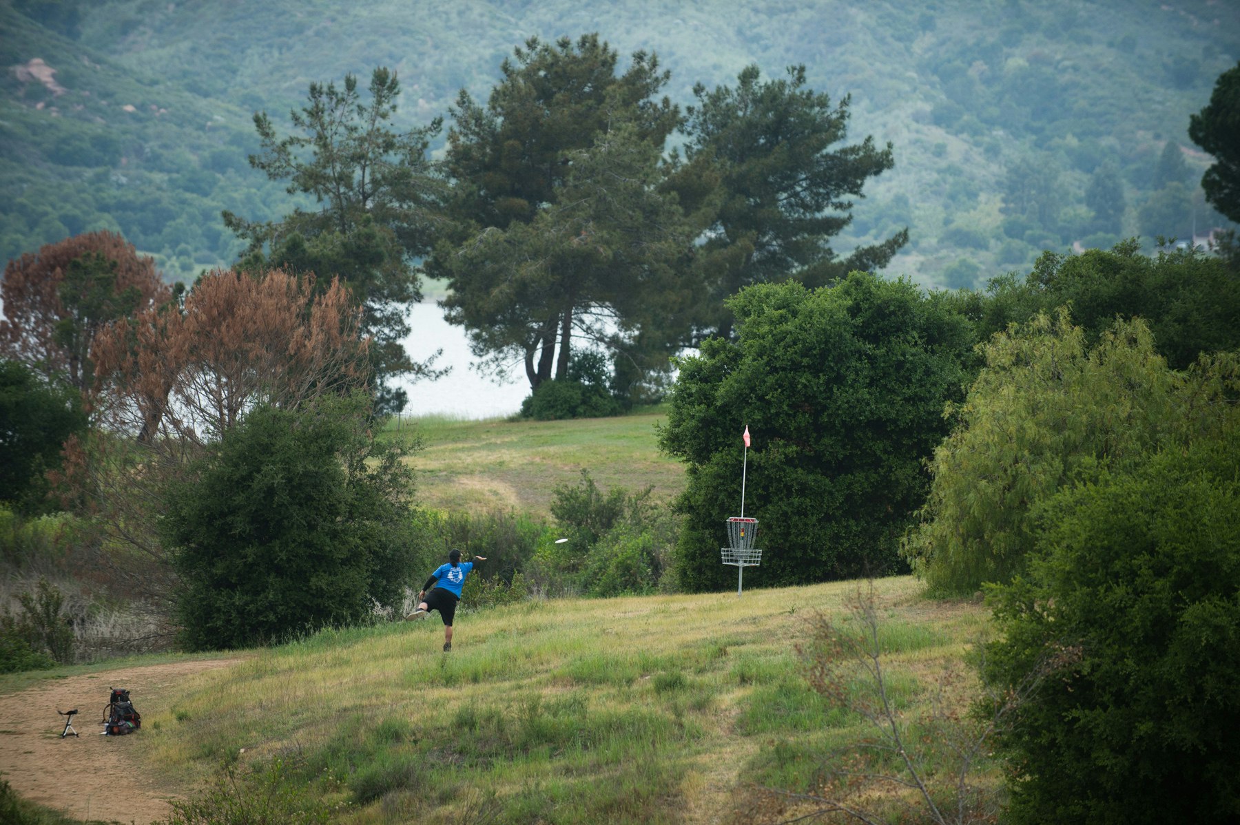 Person playing disc golf in a grassy, wooded area with a basket in the distance.