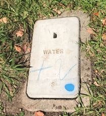 May contain: electronics, phone, mobile phone, gravestone, and tomb