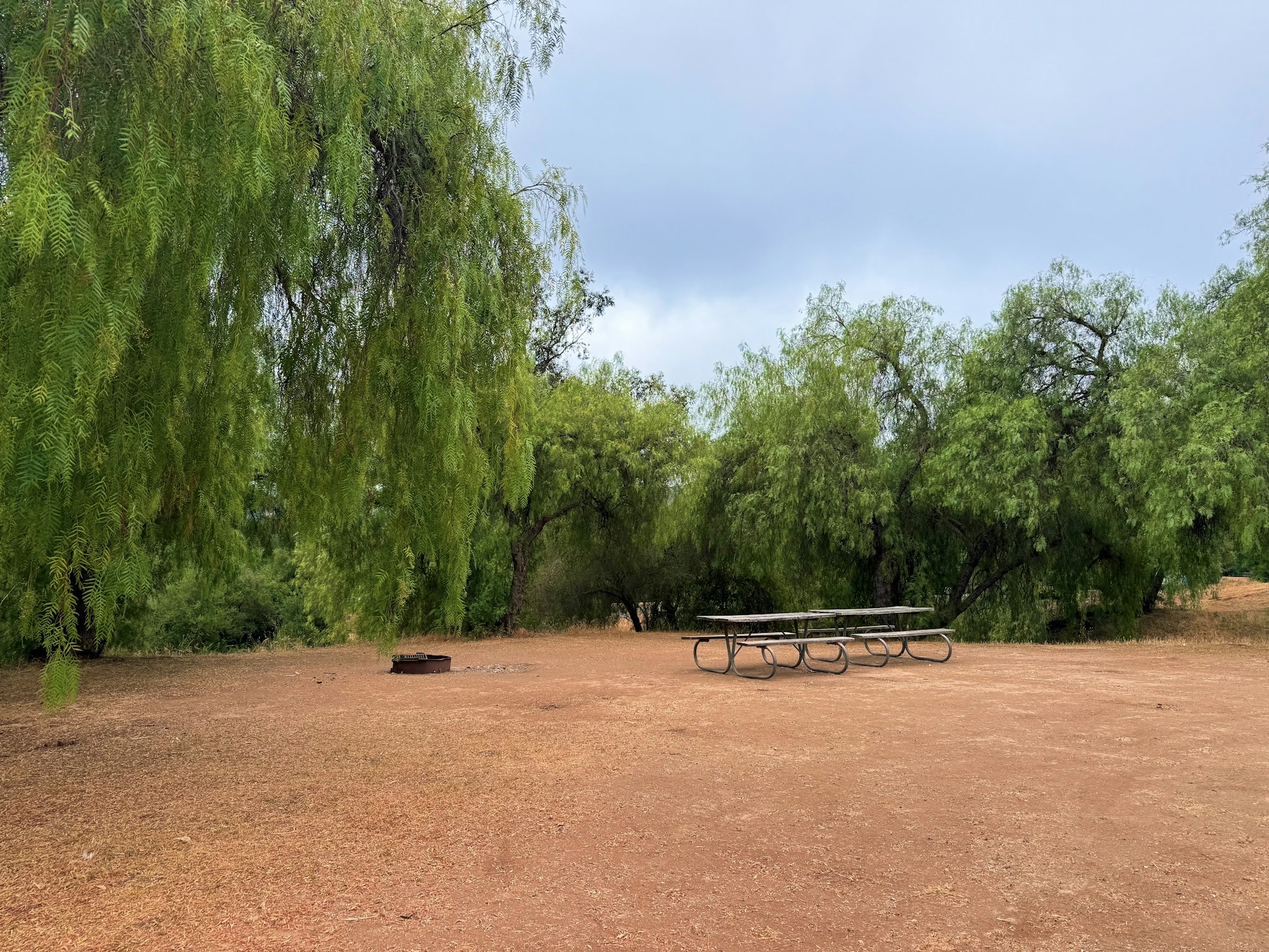 A picnic table and a fire pit on a dirt ground, surrounded by lush green trees.