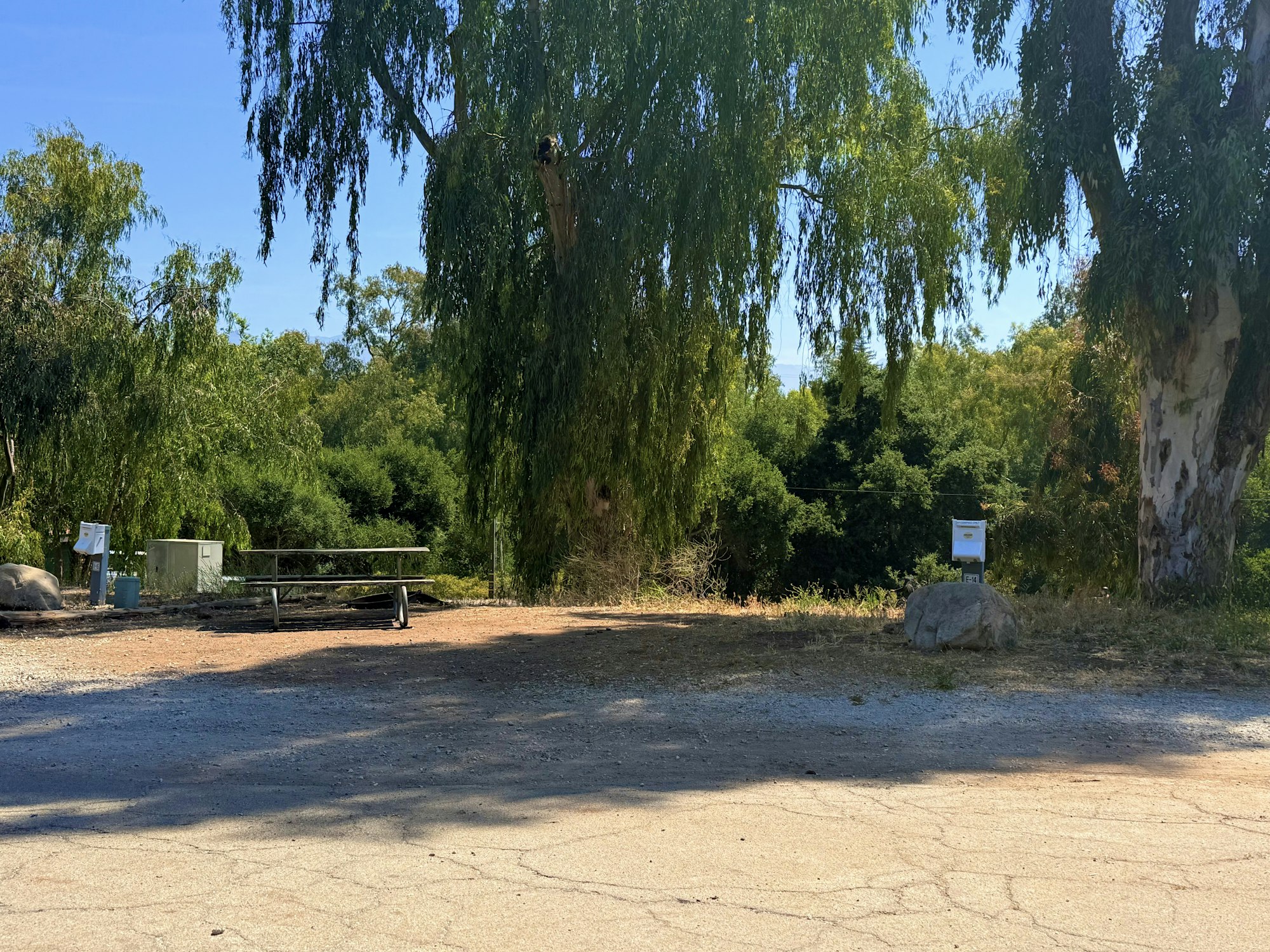 Outdoor scene with a picnic table, trees, signs, and a large rock on a dirt and gravel surface.