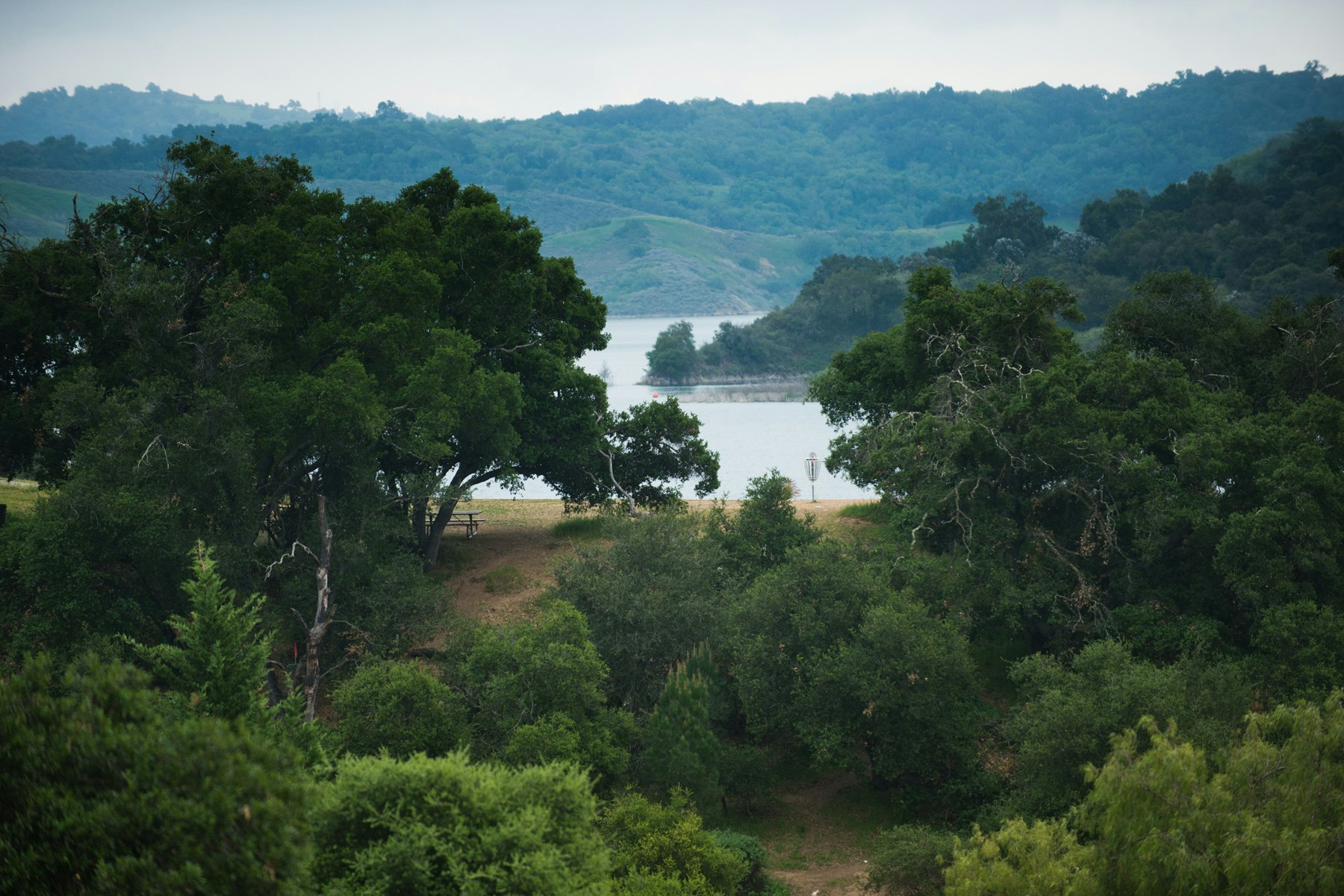 A scenic view of a lake surrounded by lush green trees and hills, with a disc golf basket in the foreground.
