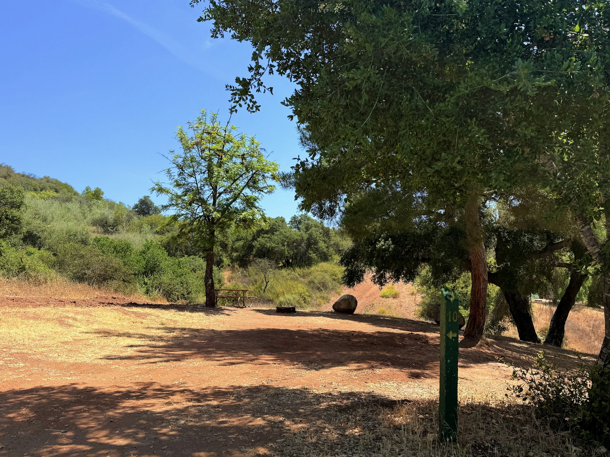 Trail with trees, a bench, and a boulder under a clear blue sky.