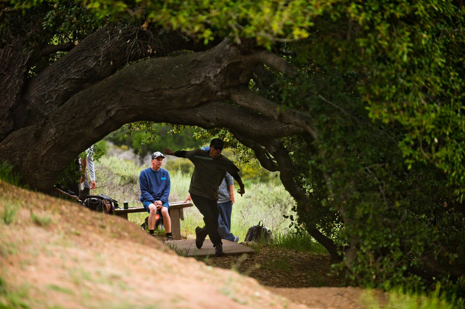 Person playing disc golf, throwing a disc under large trees. Others sit on a bench nearby.