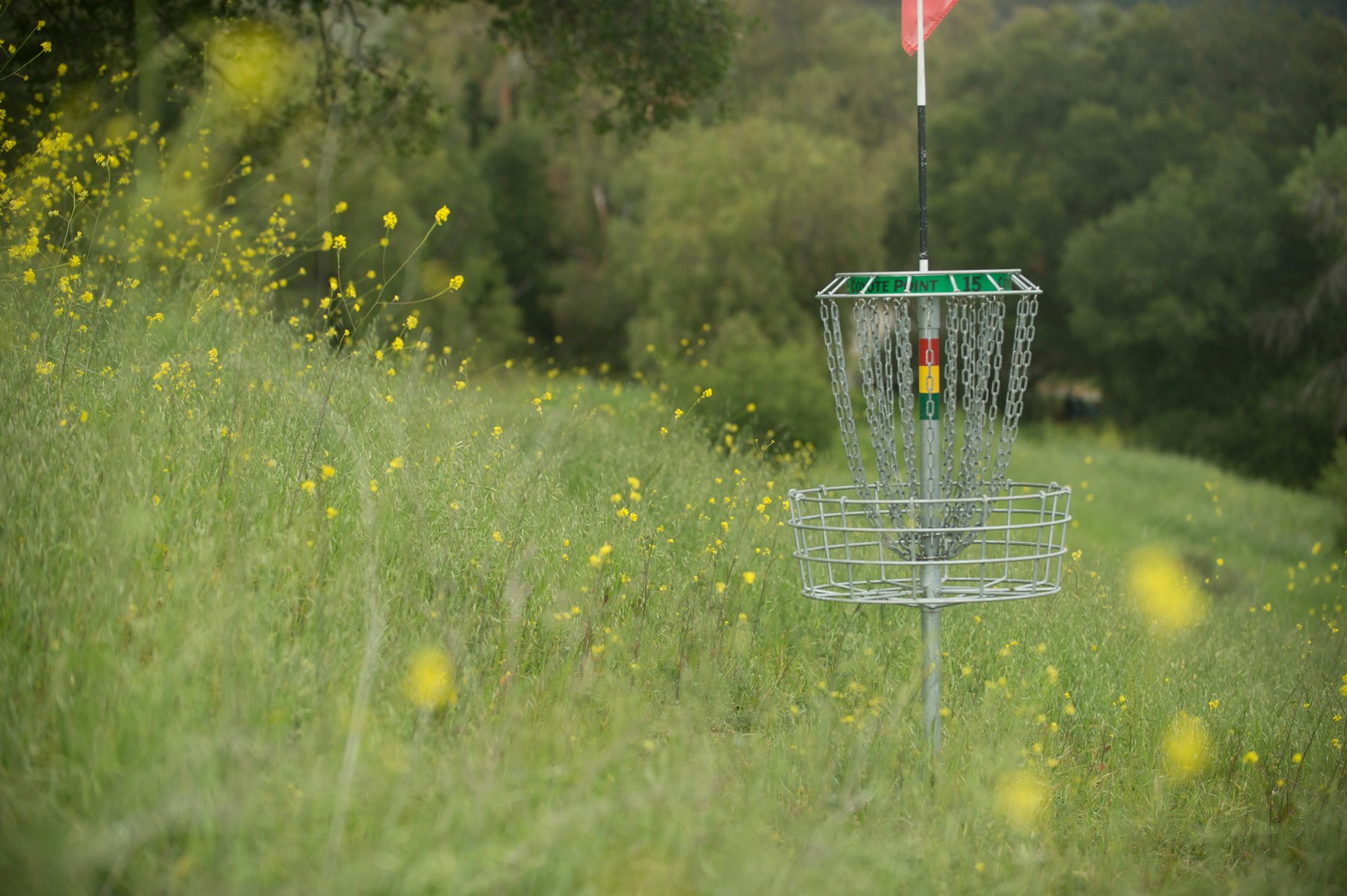 Disc golf basket in a field with yellow flowers and trees in the background.