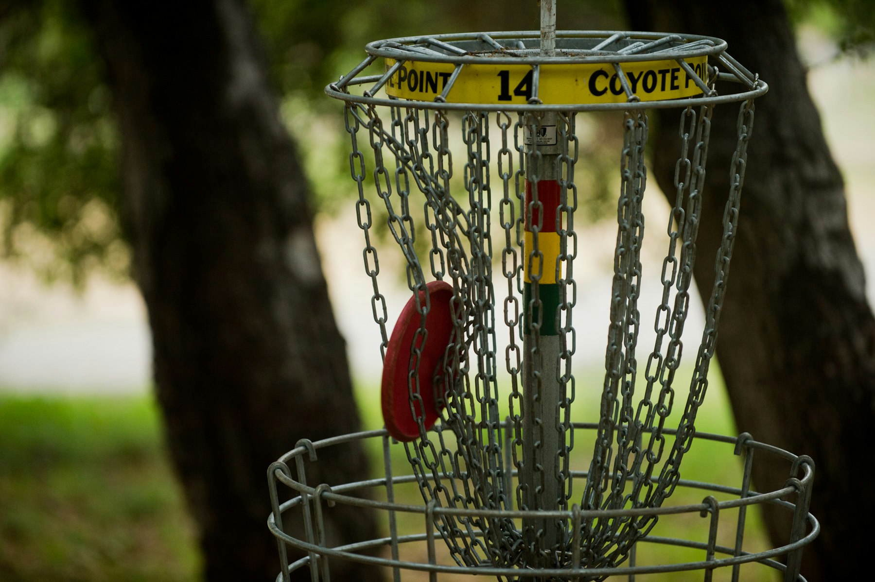 Disc golf basket with a red disc inside, labeled "POINT 14 COYOTE POINT" against a forest background.