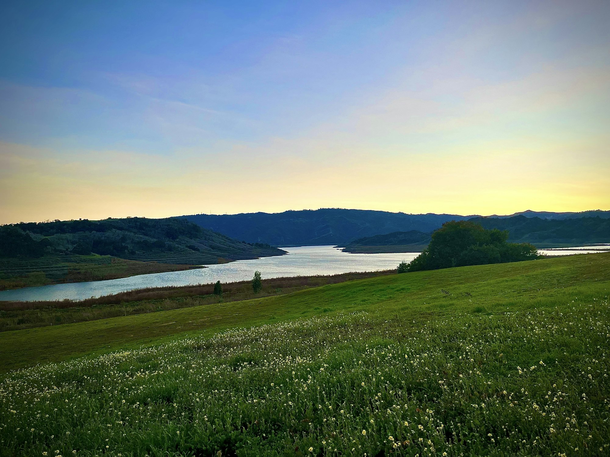 A serene landscape with a grassy field, wildflowers, a lake, distant hills, and a setting sky.