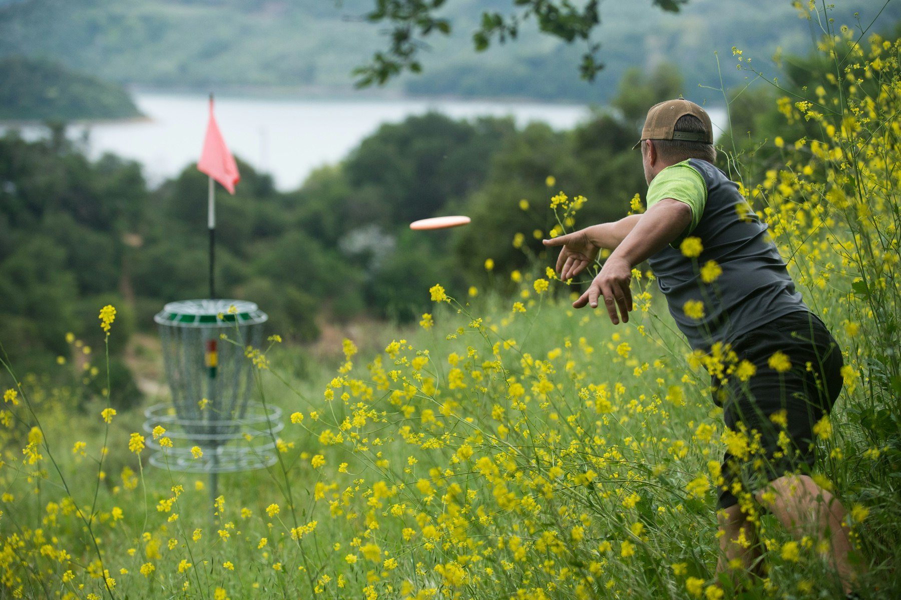 Person throwing a disc towards a disc golf basket amid yellow flowers and greenery.