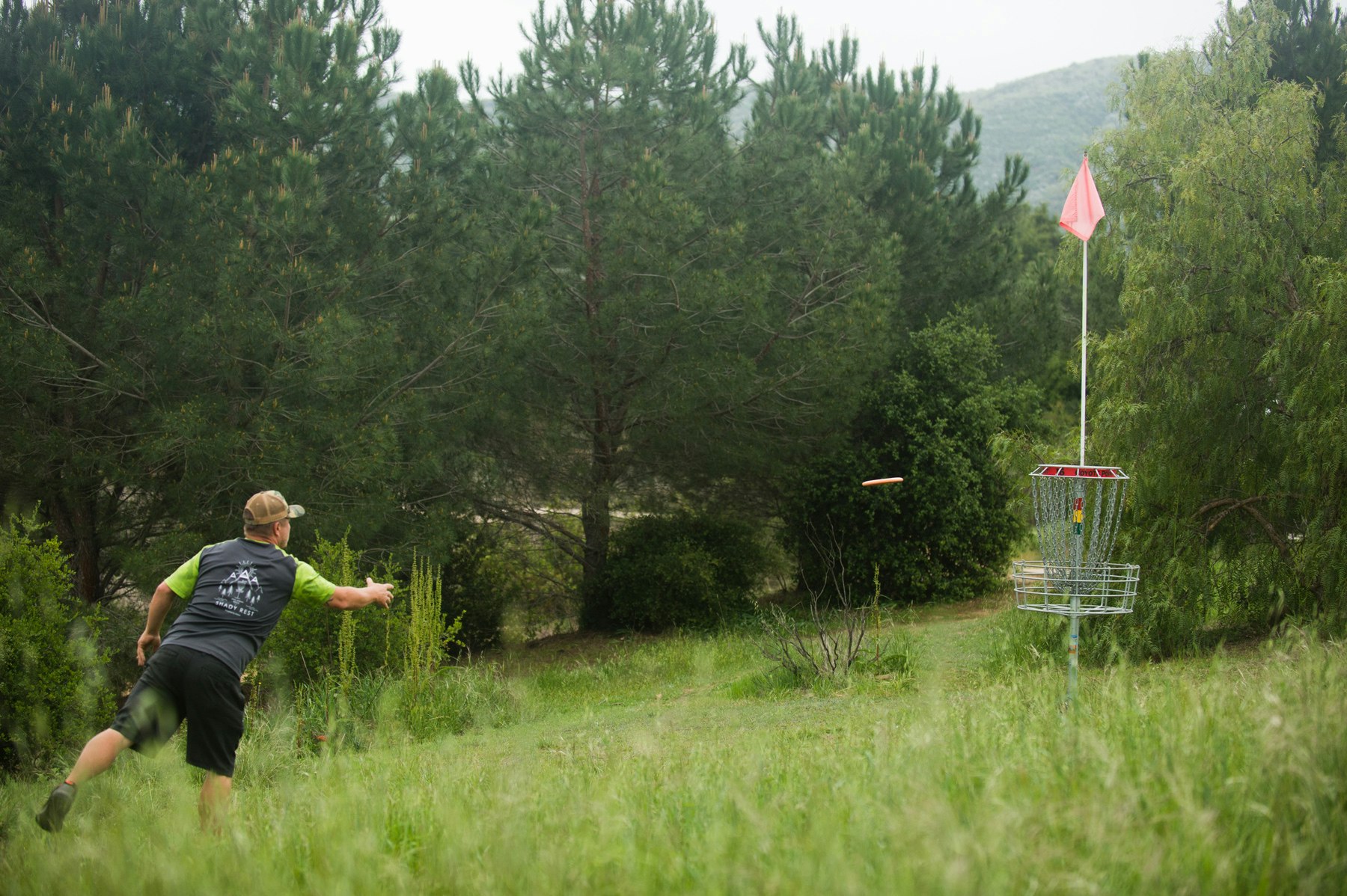 Person playing disc golf, throwing a frisbee towards a target basket with chains in a grassy, wooded area.