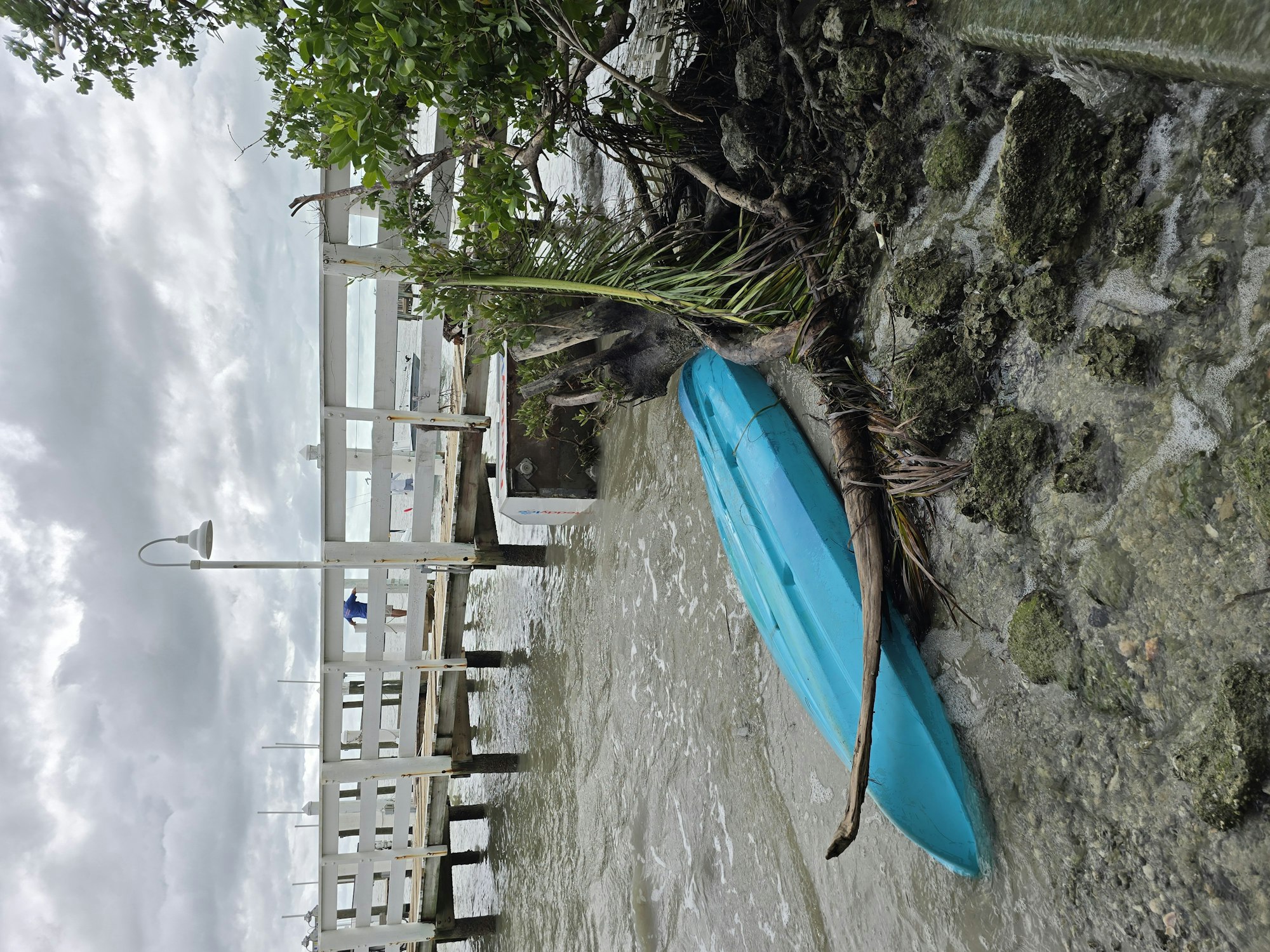 A blue kayak on a rocky shoreline beneath a tree, next to a white wooden pier and a cloudy sky.