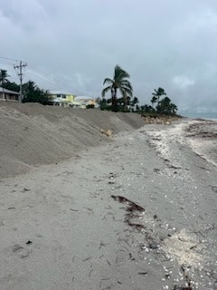 A sandy beach with palm trees, a cloudy sky, and houses in the background.