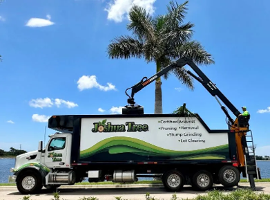 A tree service truck with a crane, parked by a lake, featuring services like trimming, removal, and stump grinding.