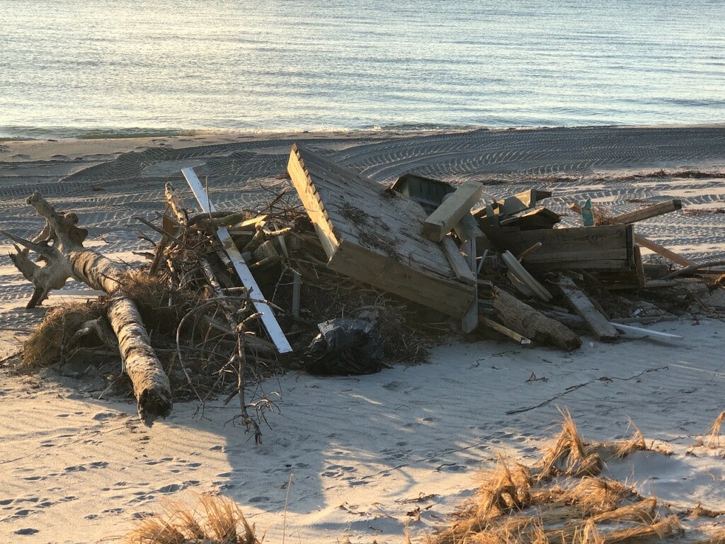 Debris and driftwood piled on a sandy beach with the ocean in the background.