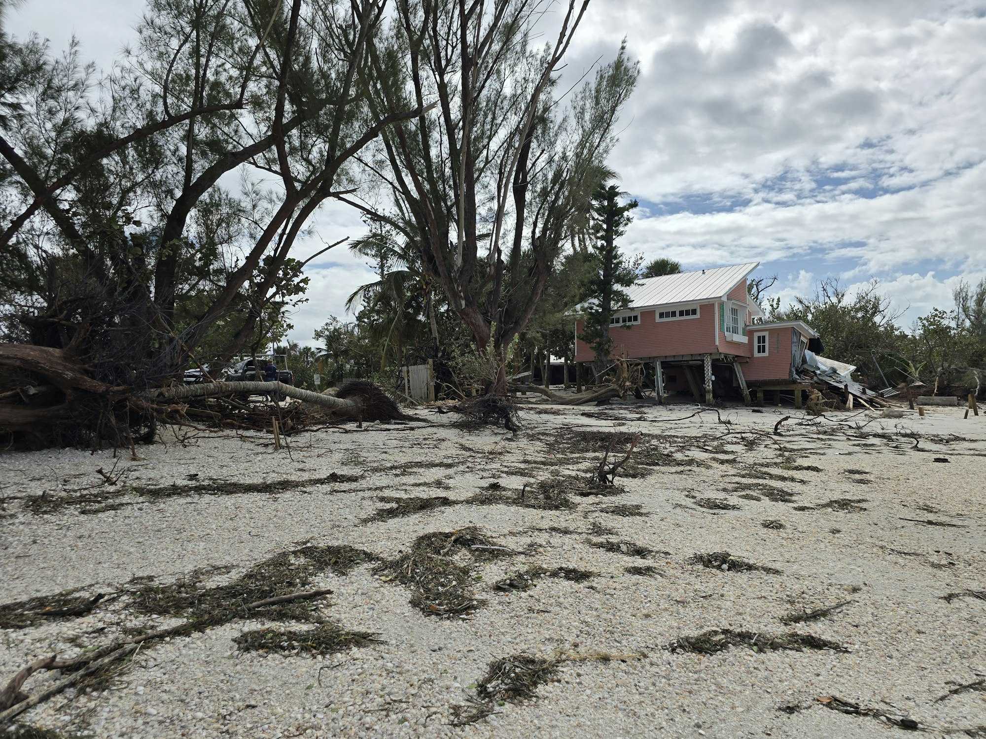 A damaged beach house on stilts, surrounded by fallen trees and debris, under a cloudy sky.