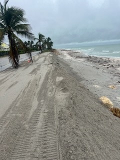A sandy beach with palm trees, tire tracks, and waves under a cloudy sky.