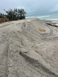 Sand dunes leading to a beach with ocean waves and overcast skies in the background.