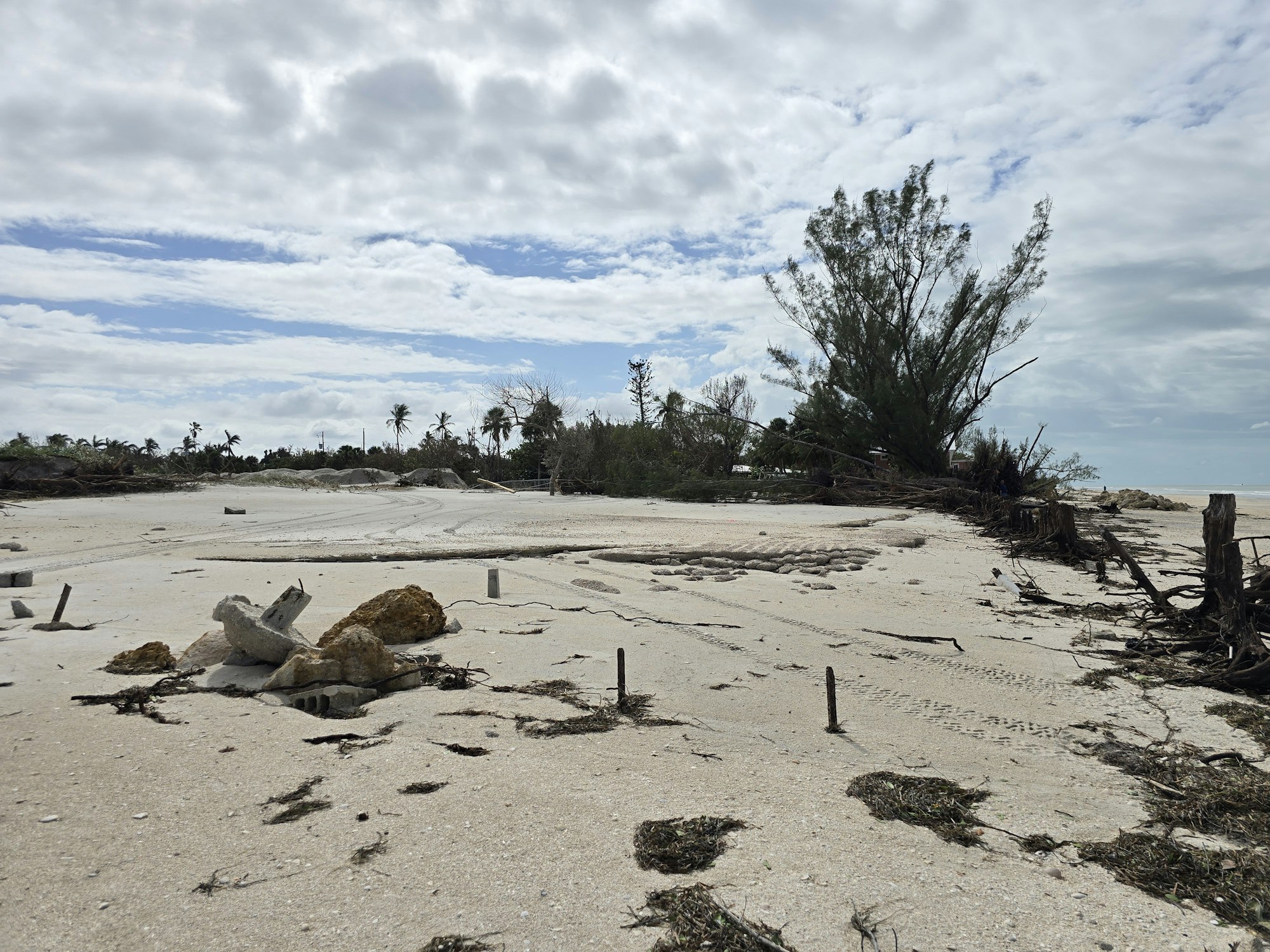 A desolate beach scene with scattered debris, broken branches, and cloudy skies.