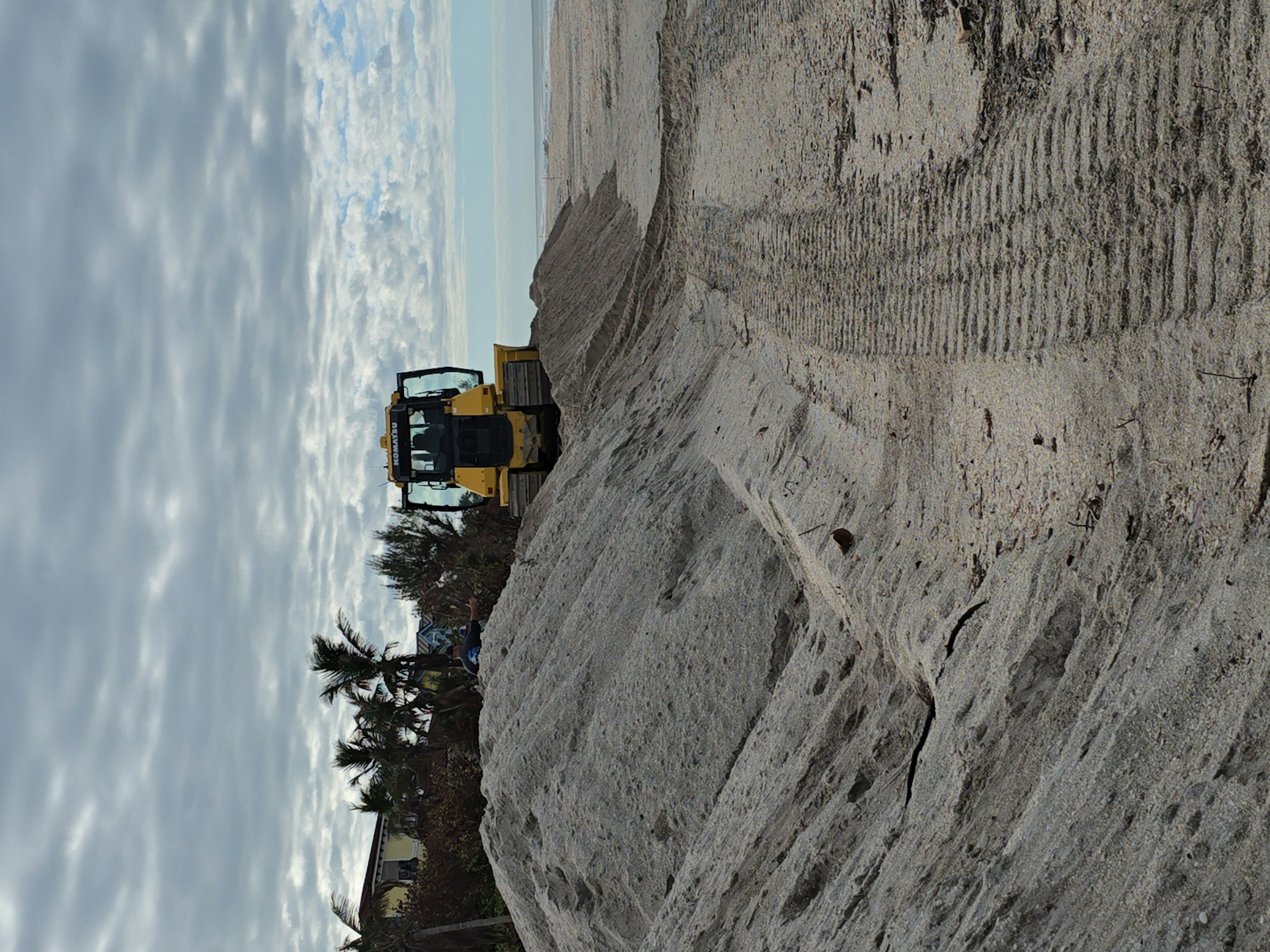 A bulldozer on a sandy beach with tire tracks and scattered trees, under a cloudy sky.
