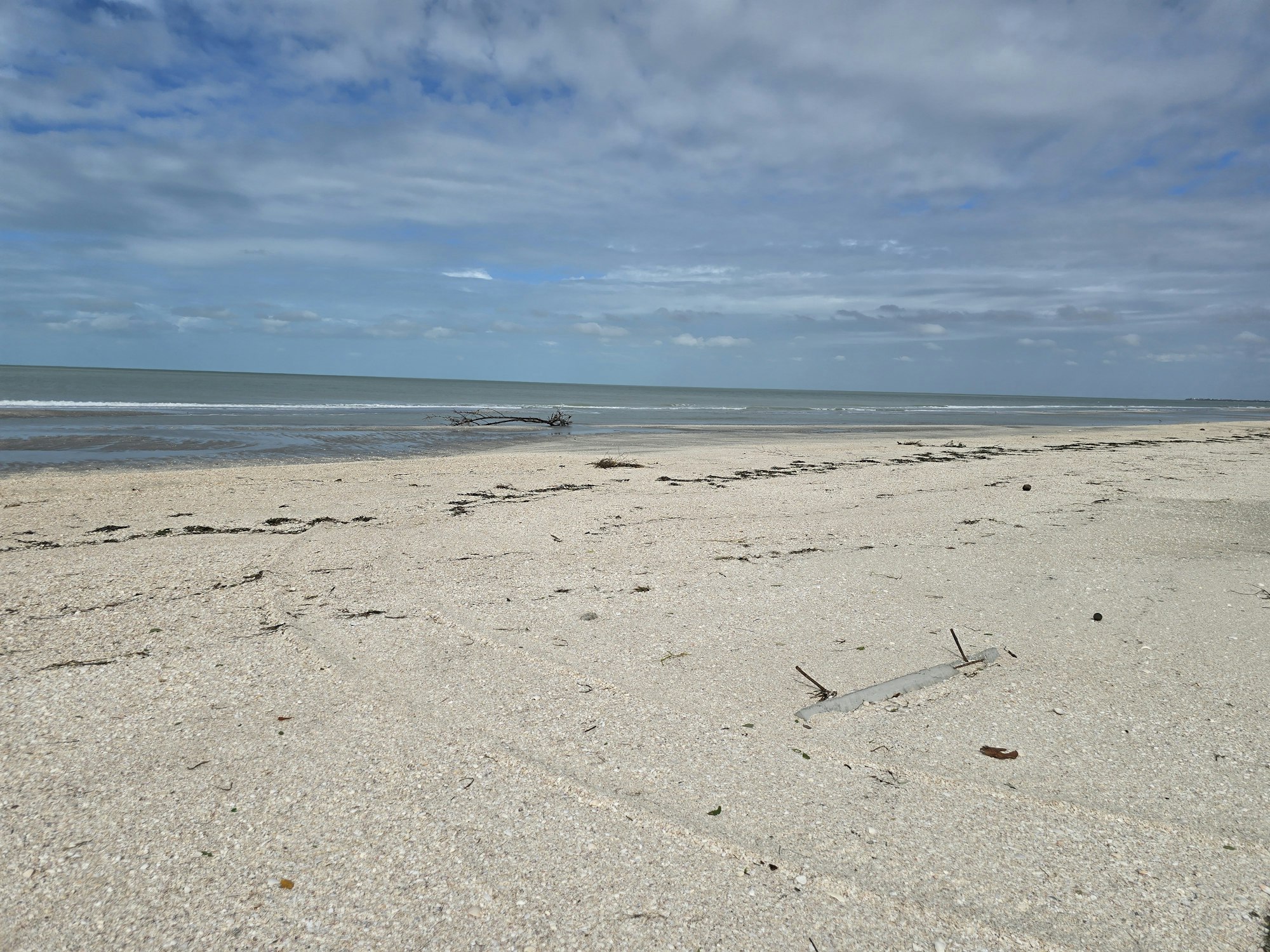 A sandy beach with scattered debris, a washed-up log, and a cloudy sky over calm ocean waves.