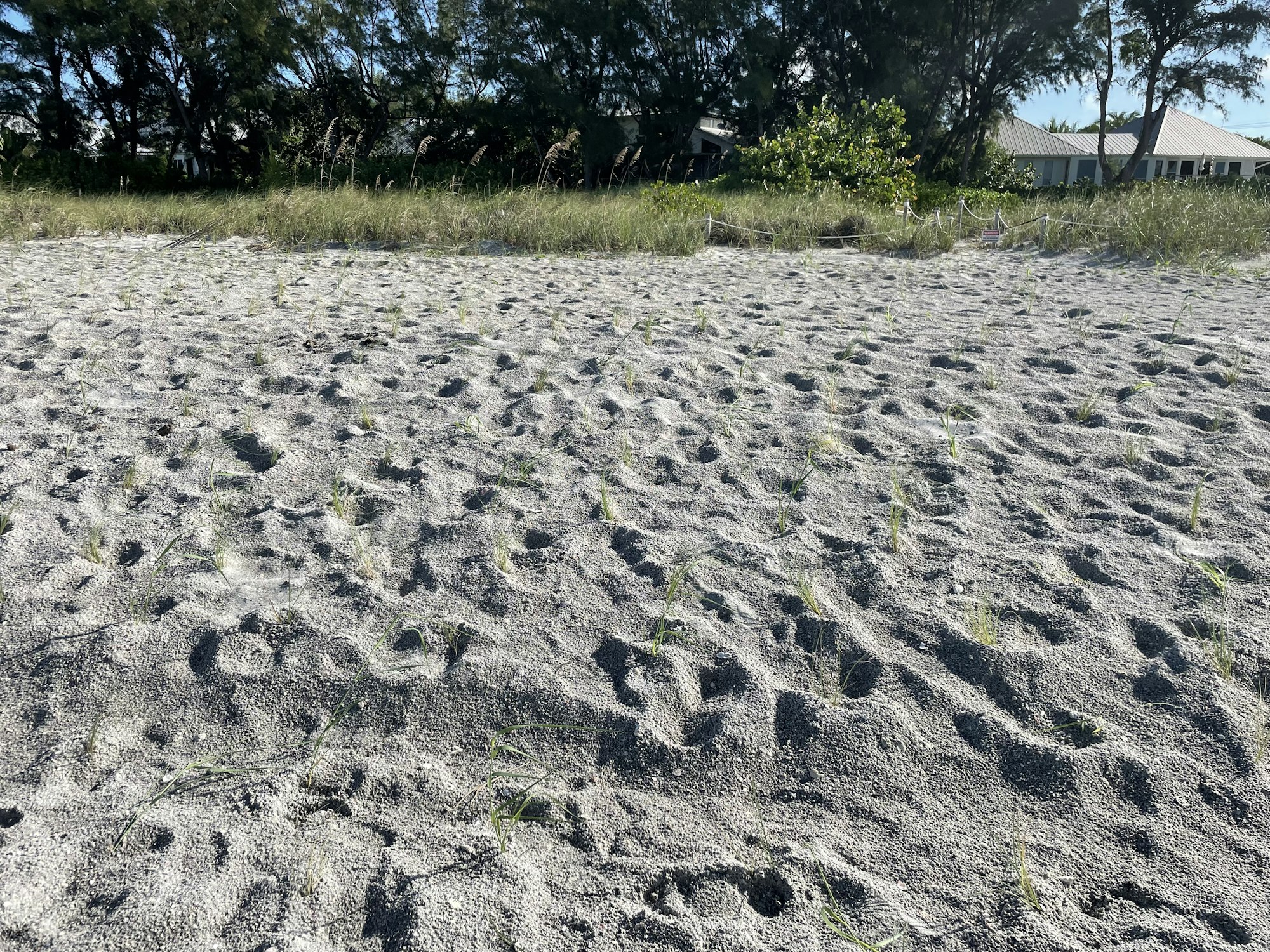 May contain: ground, soil, rug, nature, land, outdoors, and road