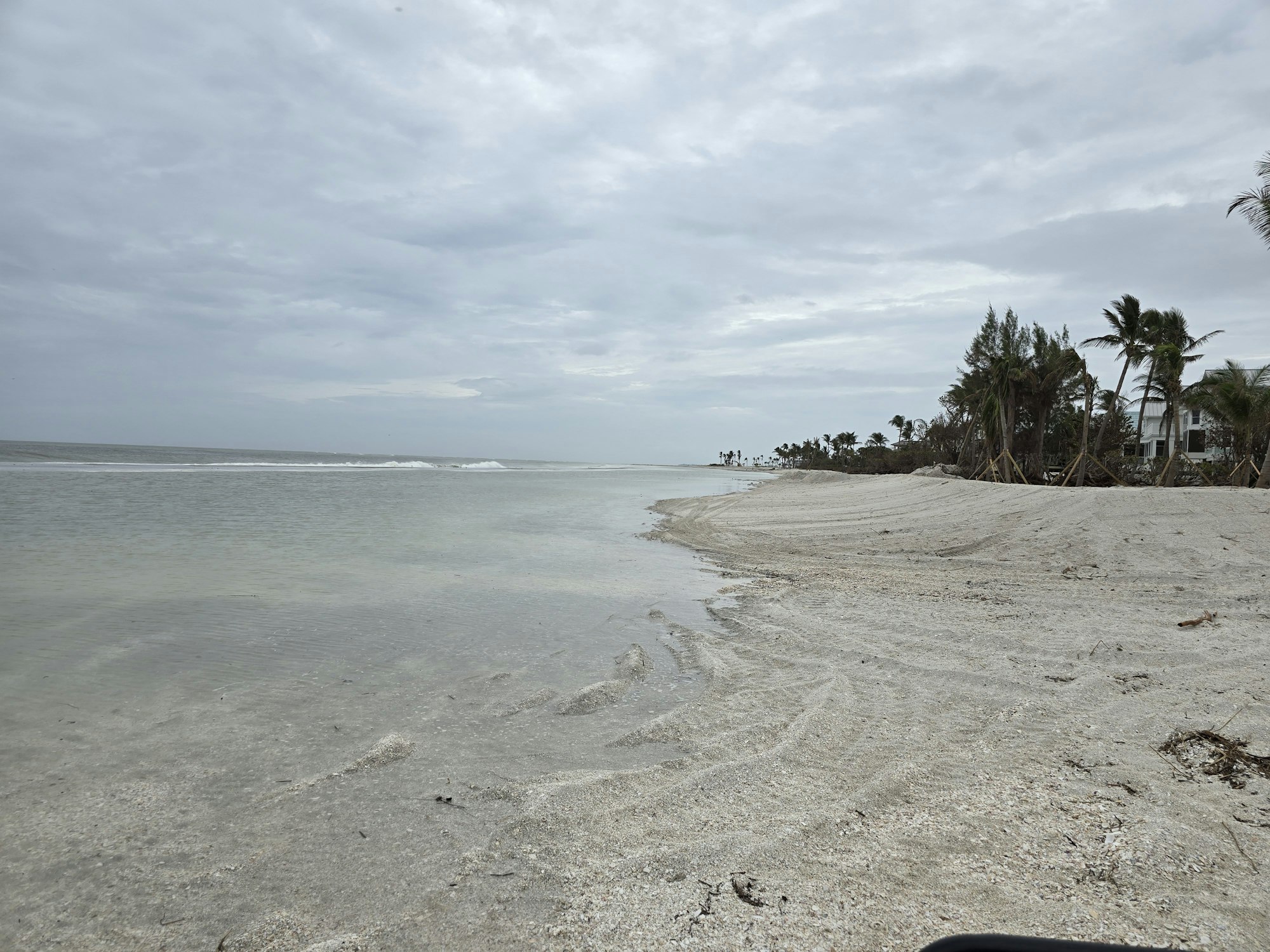 A cloudy seaside scene with calm waves, sandy beach, and palm trees in the background.