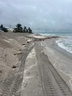 Beach with tire tracks, cloudy sky, ocean waves, and palm trees in the distance.