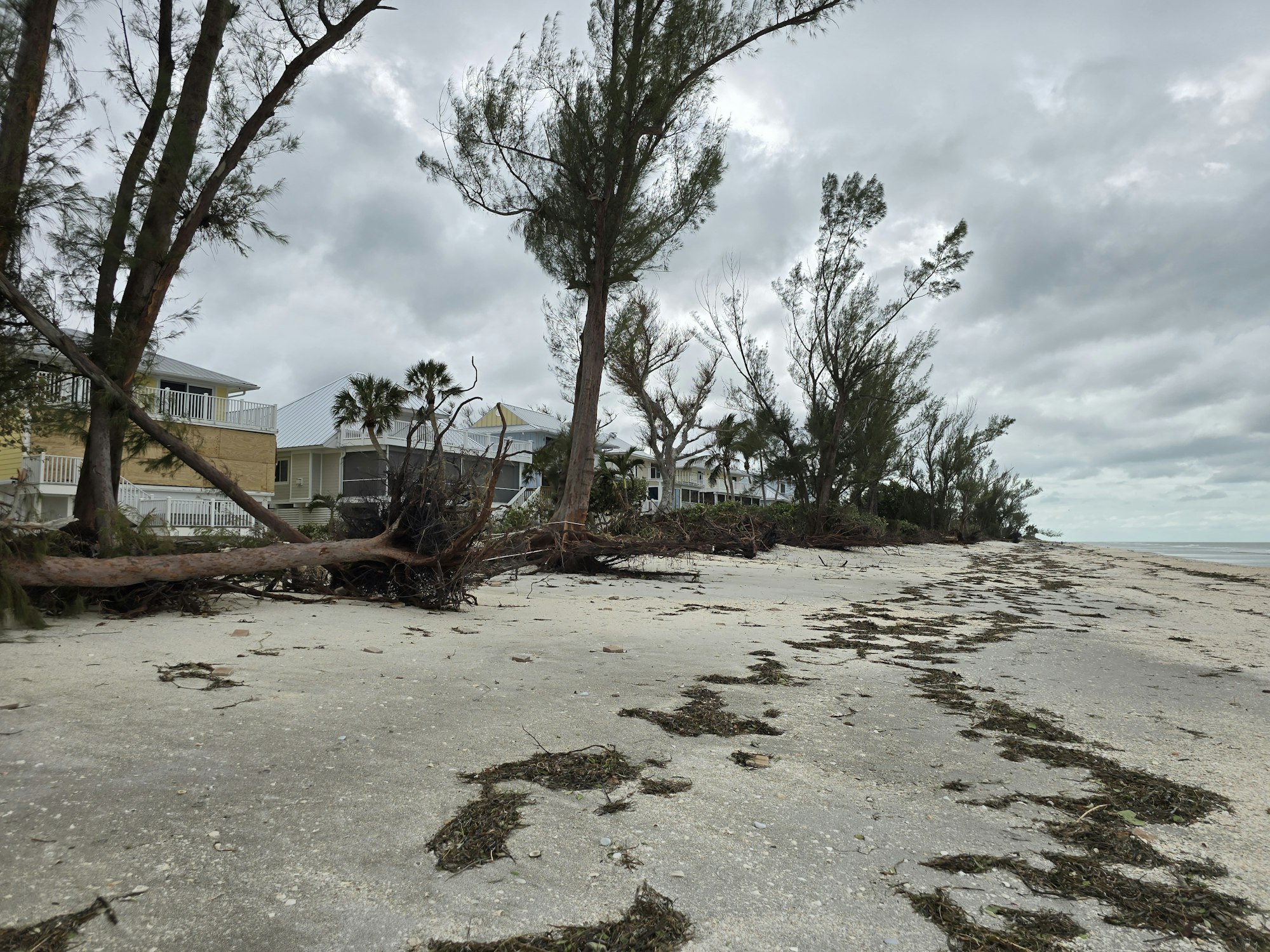 Beachfront houses with fallen trees and debris on the sand under a cloudy sky.