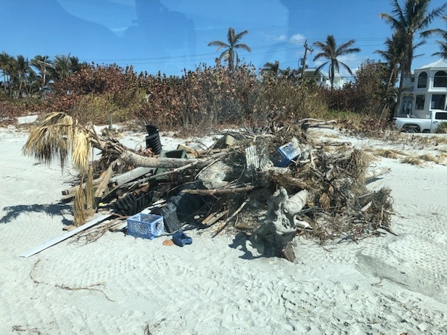 Debris pile on a beach with palm trees and buildings in the background.