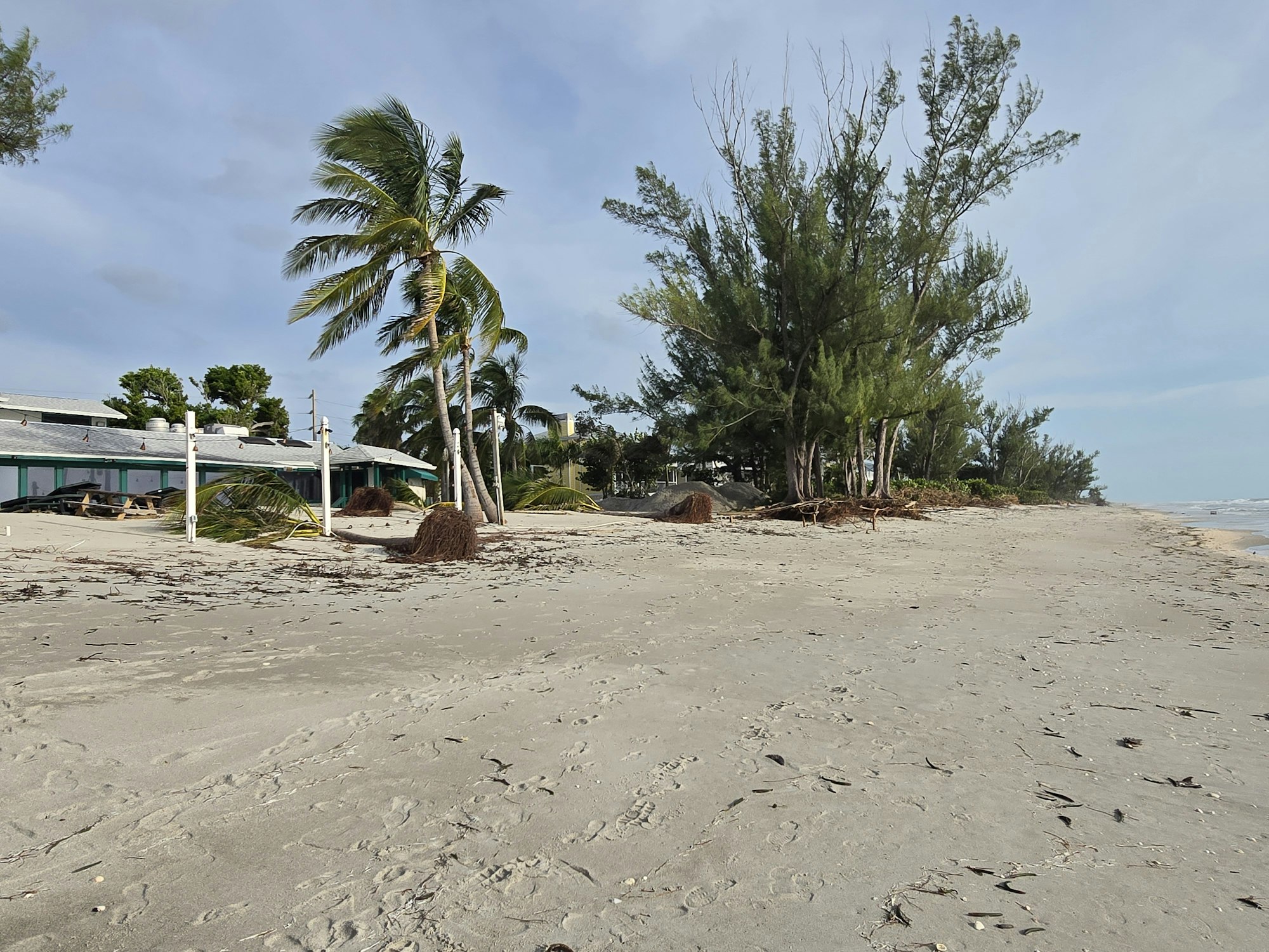 A sandy beach with palm trees, foliage, a building, and a clear sky.