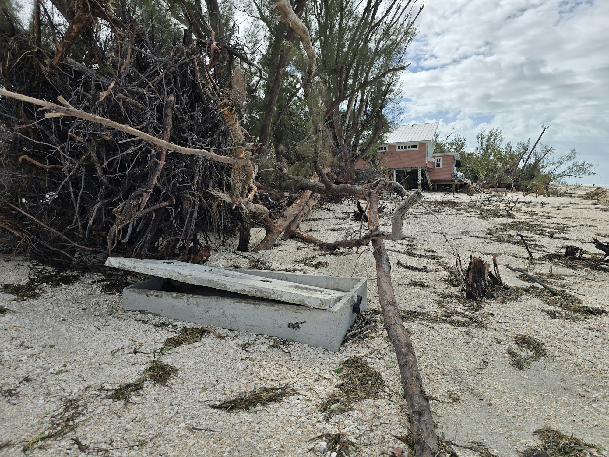 Debris and fallen trees on a sandy beach with a small, damaged house in the background.
