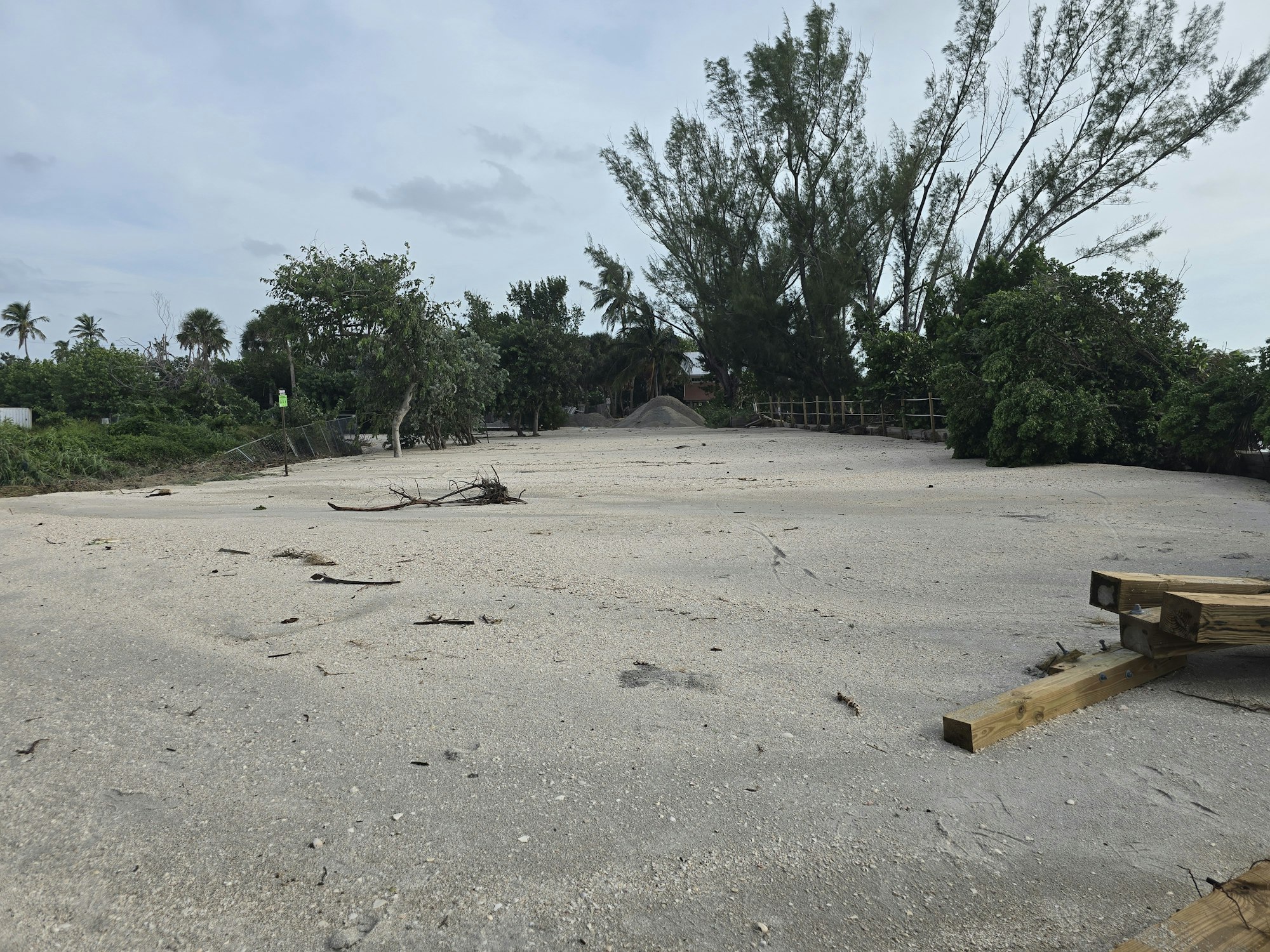 An empty gravel lot with debris, fallen branches, and lush greenery in the background.