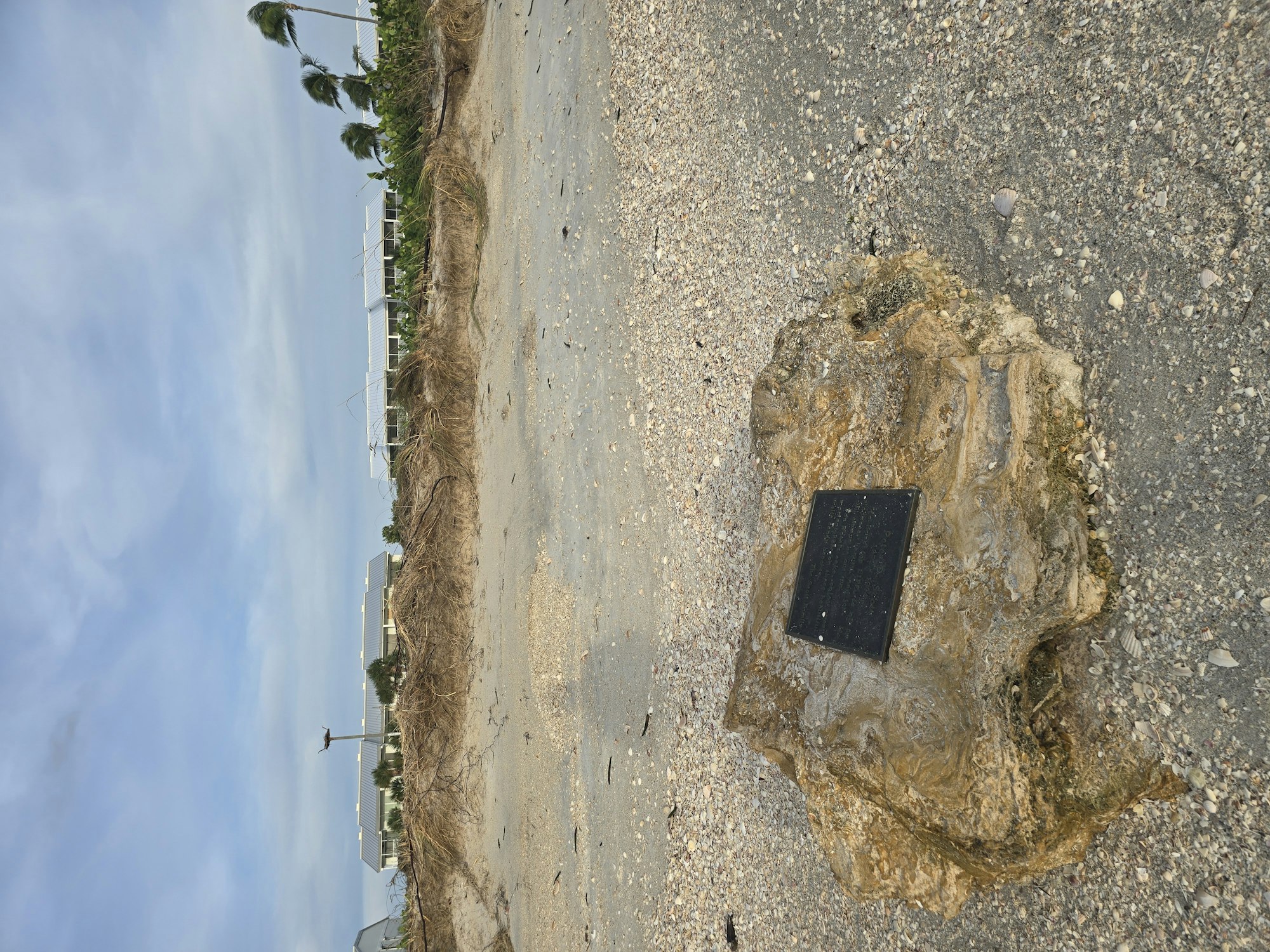 A sideways view of a rocky surface with a plaque, palm trees, and a fence in the background.