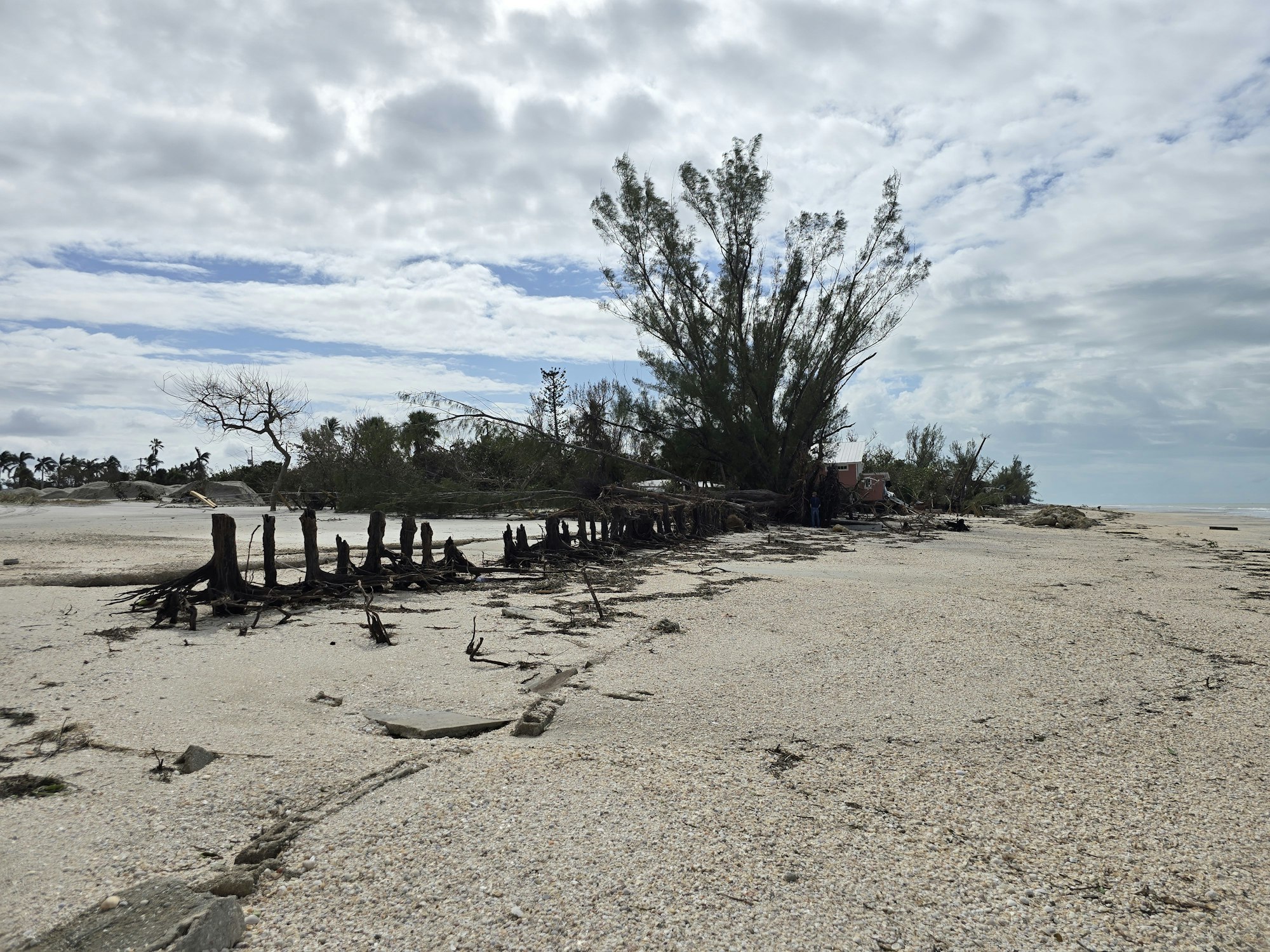 A sandy beach with driftwood and sparse vegetation under a cloudy sky.
