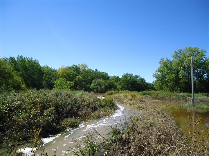 May contain: land, nature, outdoors, plant, vegetation, water, wilderness, creek, stream, tree, and woodland