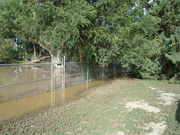 May contain: plant, vegetation, land, nature, outdoors, water, backyard, yard, tree, woodland, and fence