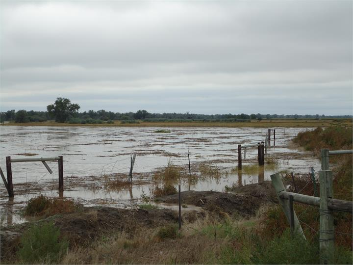 May contain: land, nature, outdoors, water, and flood