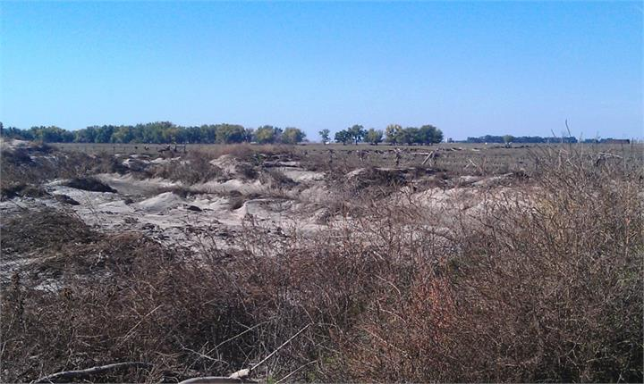 May contain: land, nature, outdoors, ground, plant, vegetation, field, and soil