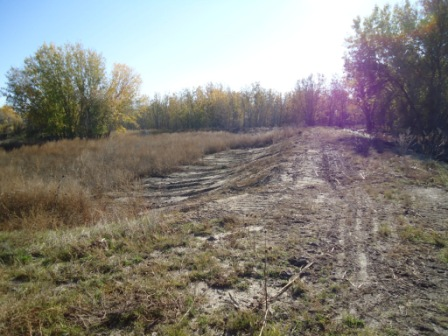 May contain: gravel, road, path, plant, vegetation, grass, soil, land, nature, outdoors, trail, and field
