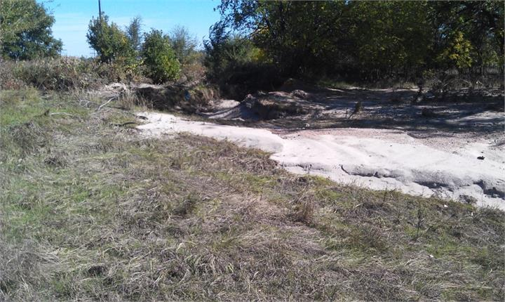 May contain: nature, outdoors, wilderness, plant, vegetation, soil, land, tree, woodland, countryside, farm, field, pasture, rural, grove, path, trail, grass, ground, water, and slope