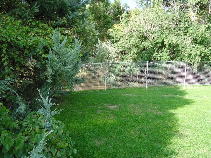 May contain: backyard, nature, outdoors, yard, garden, grass, plant, vegetation, and lawn