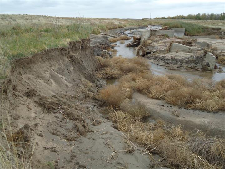 May contain: soil, outdoors, grass, plant, water, nature, land, vegetation, and mud