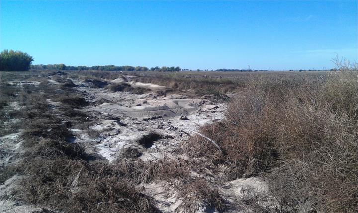 May contain: ground, soil, land, nature, outdoors, plant, and vegetation