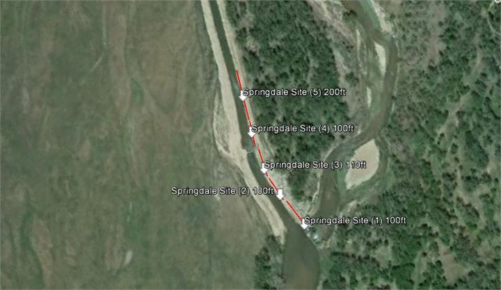 May contain: plant, vegetation, land, nature, outdoors, airport, airfield, tree, and woodland